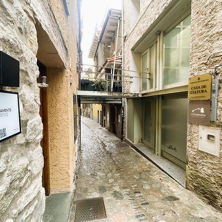 Apartamento Duplex En El Corazon De Camprodon, La Rovira 외부 사진